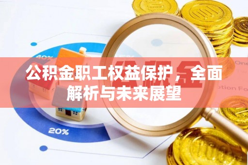 办理公积金职工权益保护，全面解析与未来展望